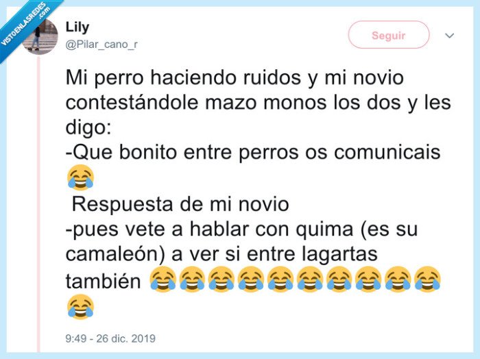 lagarta,perro,vago,especies