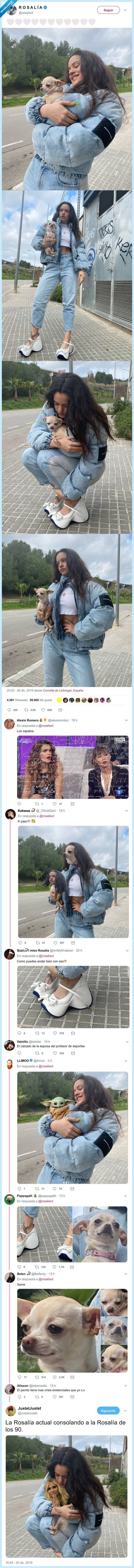 rosalía,perro,chihuahua,zapatillas,bambas