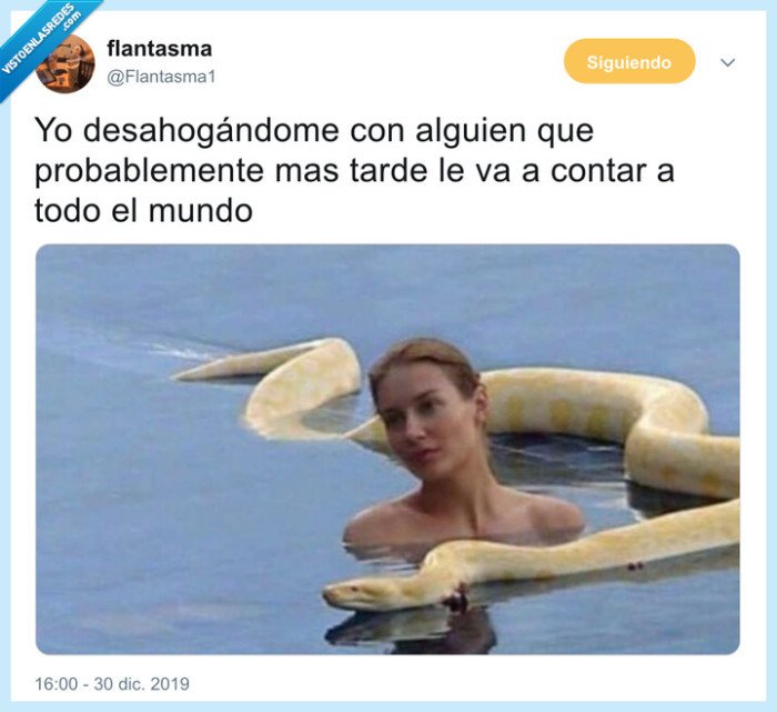 serpiente,intimidad,contar,víbora