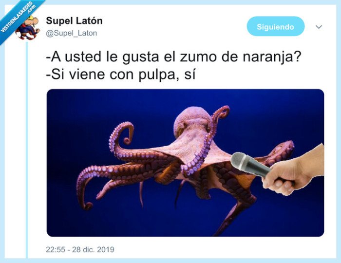 pulpa,pulpo,zumo de naranja
