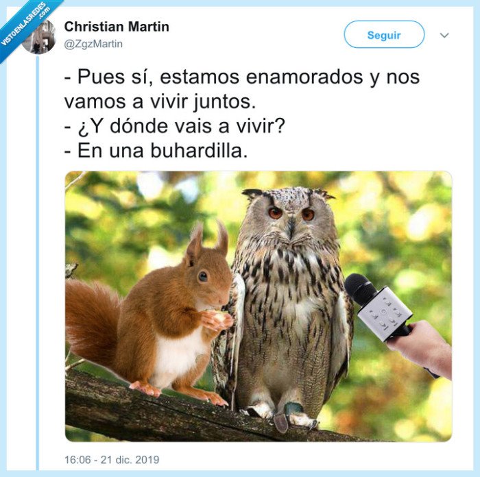 buho,ardilla,buhardilla