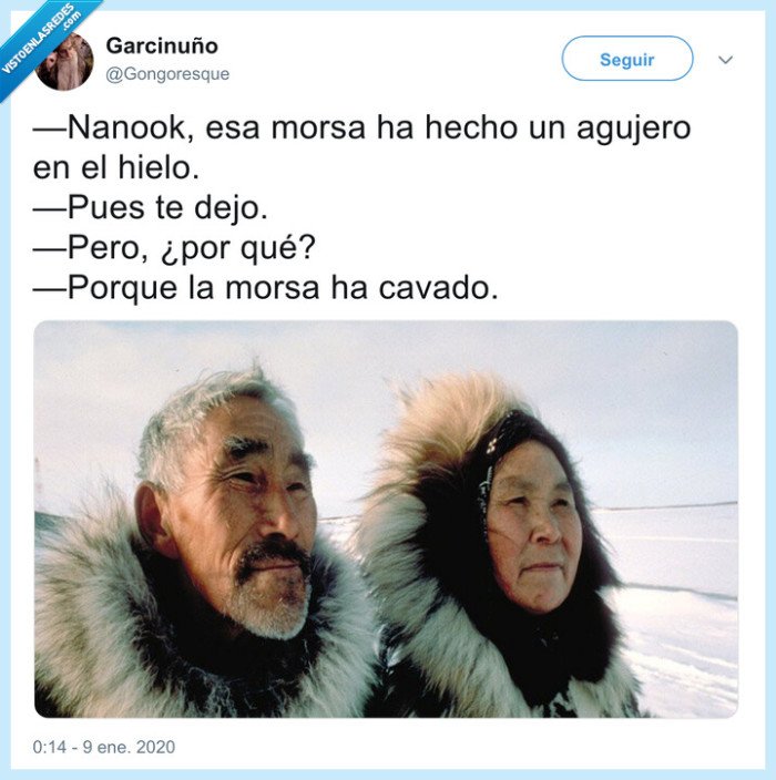 morsa,amor,acabarse,chistaco