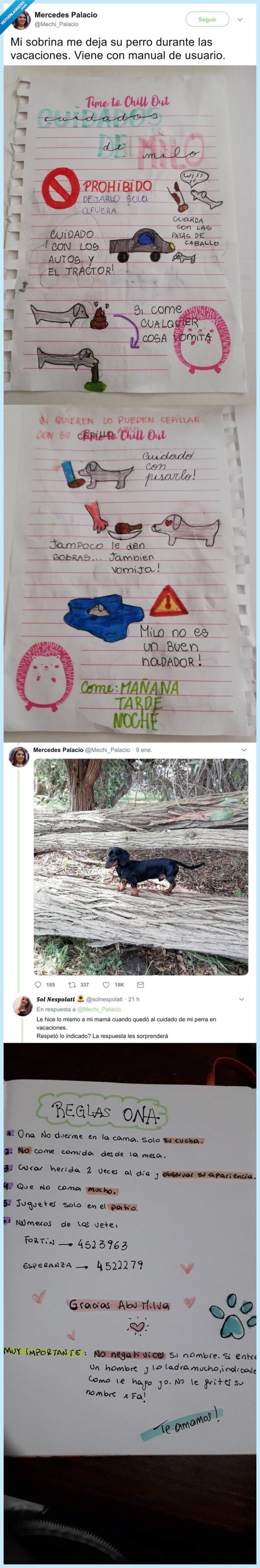 perro,vacaciones,dejar,manual,instrucciones