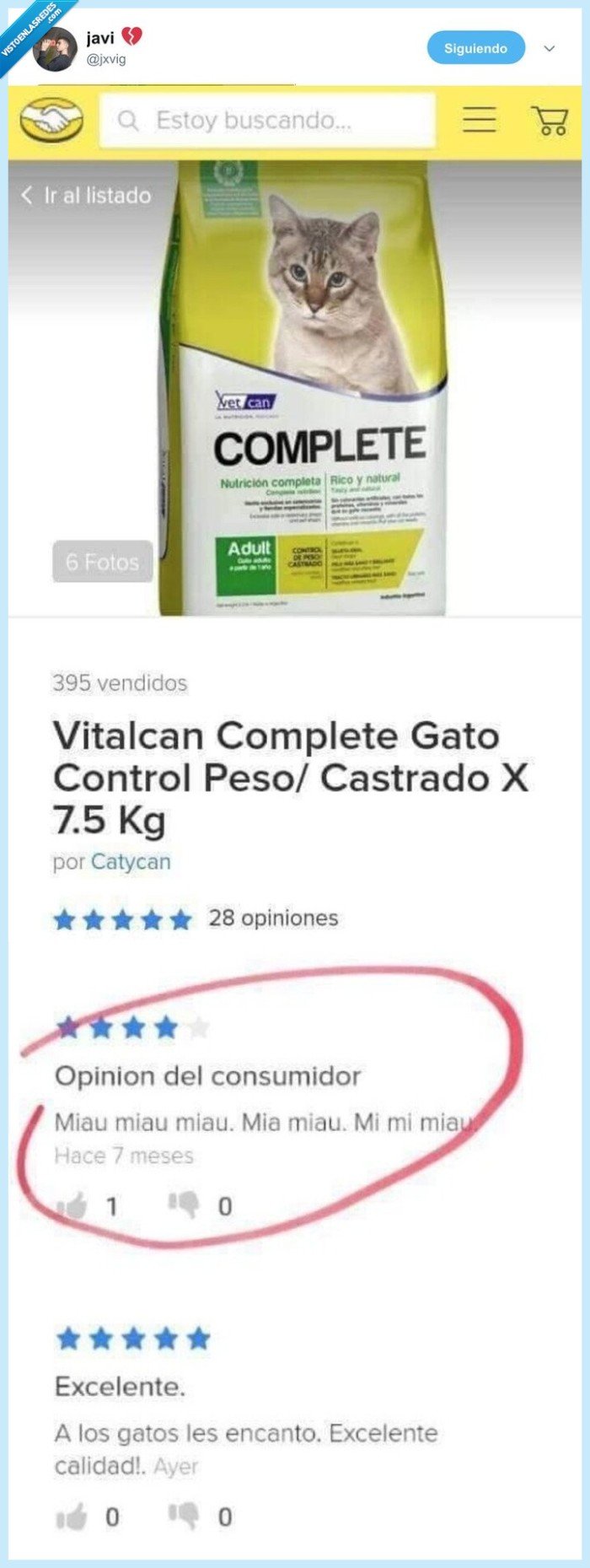 gato,pienso,review