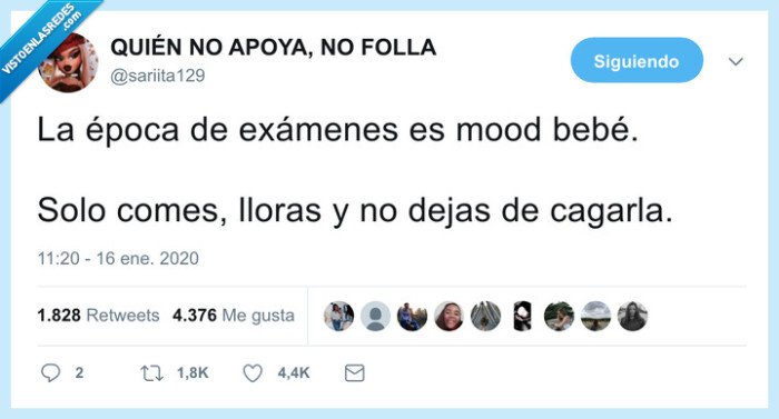 exámenes,época,comer,llorar,cagar