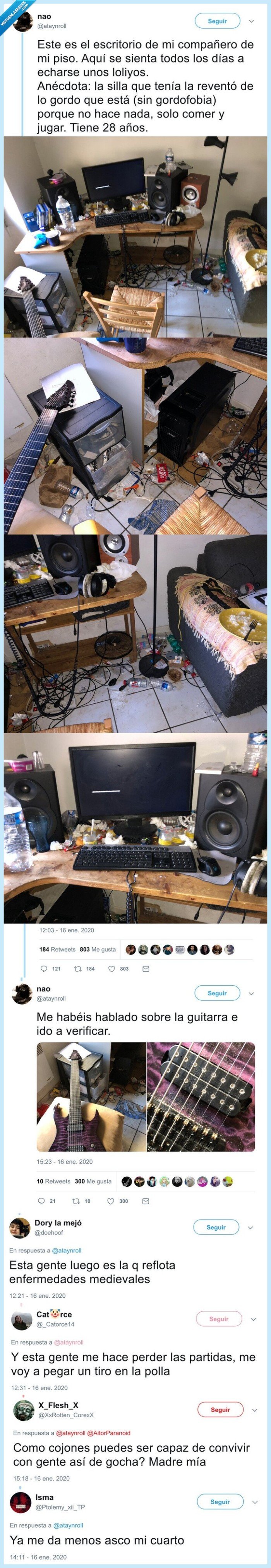 habitación,cerdo,sucio