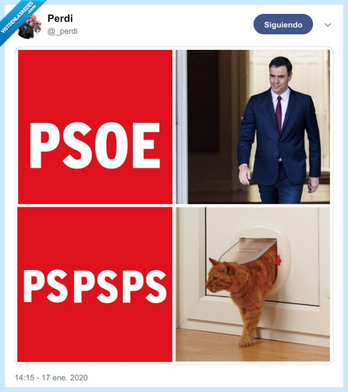 gato,psoe,pspspsps,pedro sánchez