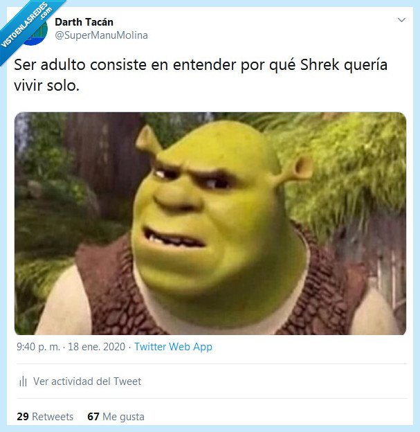 adulto,vivir,solo,entender