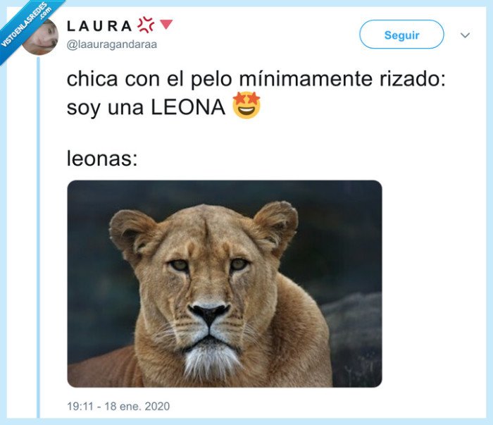 leona,melena,pelo,cabellera,largo