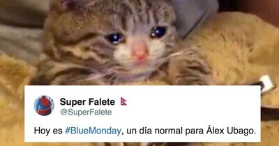 537339 - Los memes del 'Blue Monday', el día más triste del año, que harán que sea un poco menos triste
