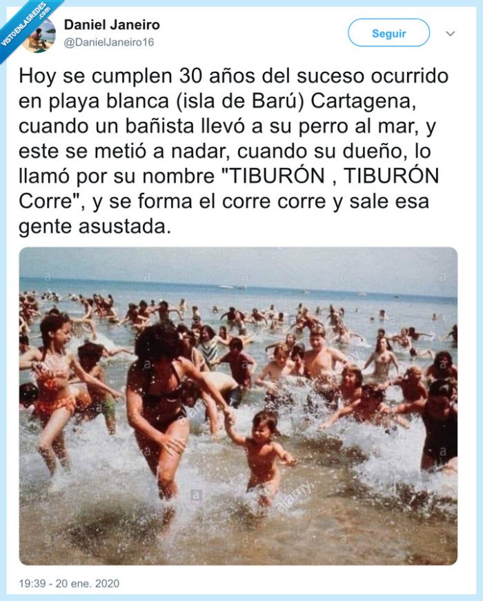 tiburón,perro,playa,invent