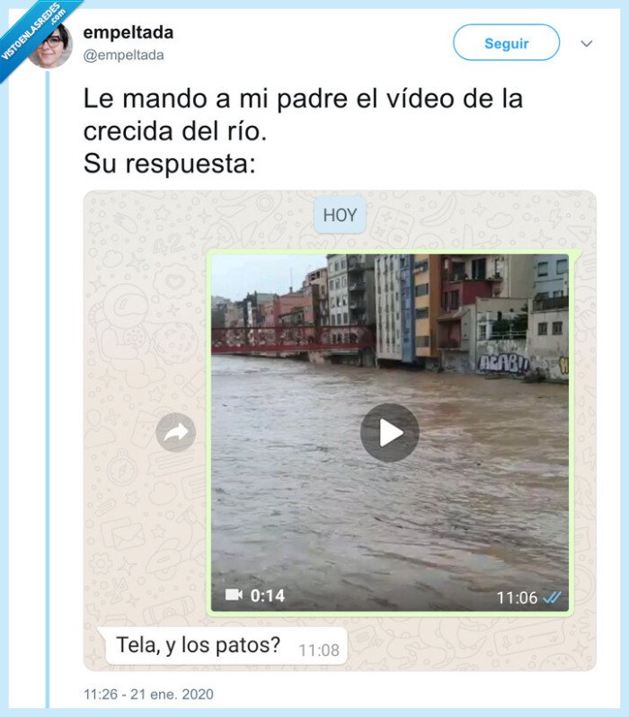 crecida,río,girona,patos