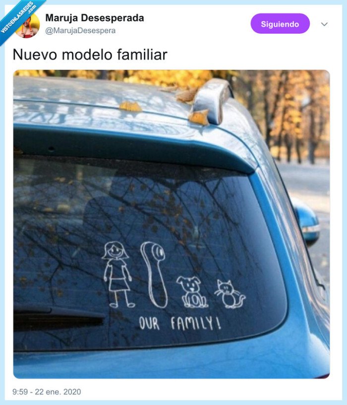 pegatinas,satisfyer,modelo,coche