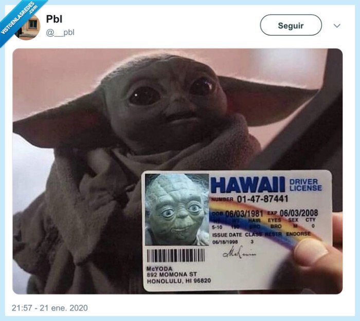 baby yoda,yoda,dni,falso,id