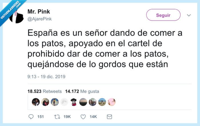 españa,paralelismo,patos,estanque