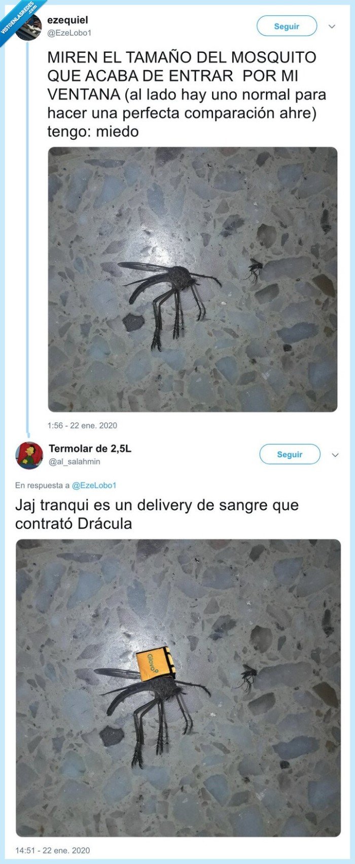 mosquito,glover,gigante