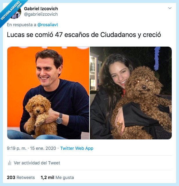 Albert Rivera,Ciudadanos,Rosalía,Lucas,perro