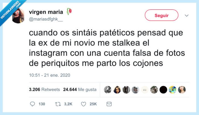 ex,stalkear,periquitos