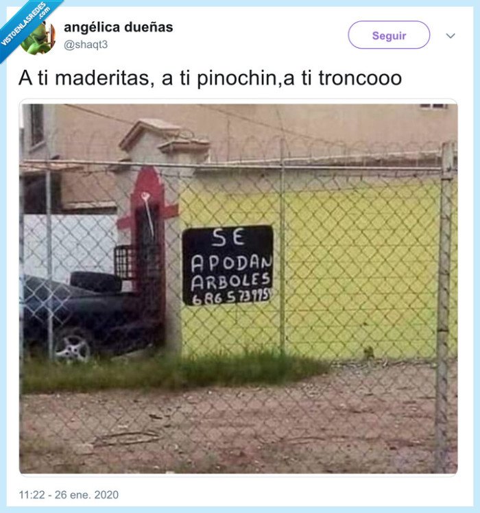 apodar,poder,árboles