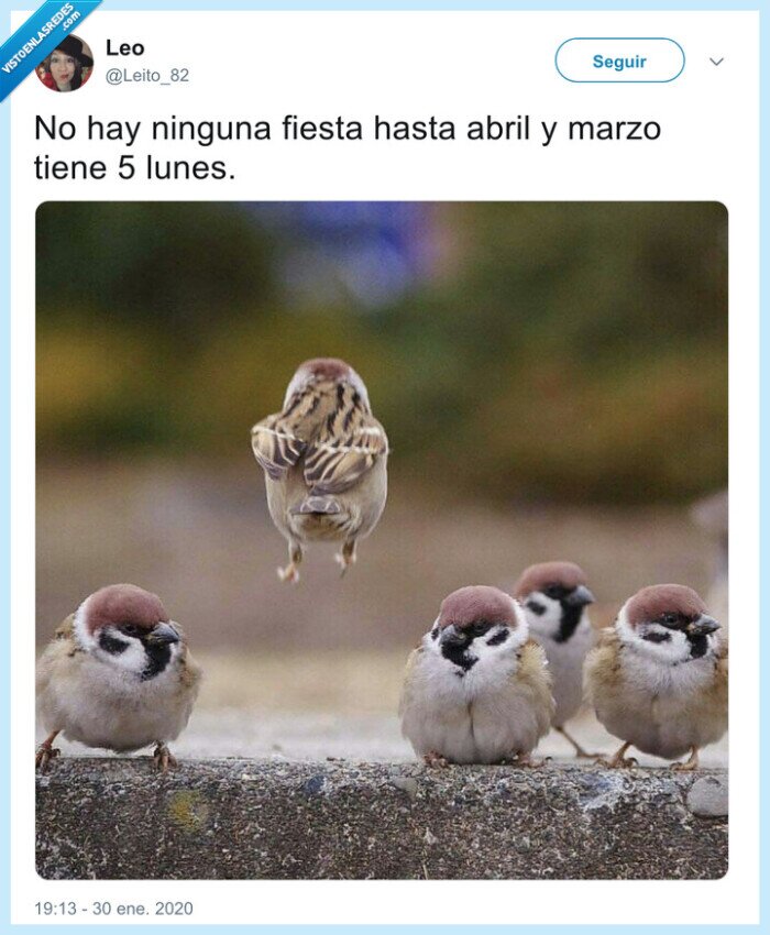 puentes,fiestas,ohno,2020