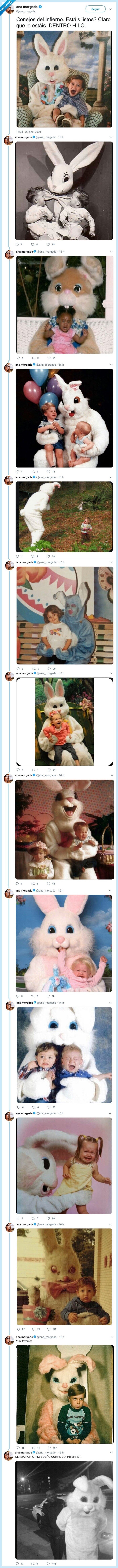 conejos,mal rollo,disfraces,cuniculifobia