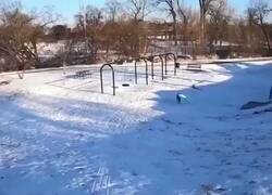 Enlace a No nos merecemos a los perros, por @_TheBestDogs