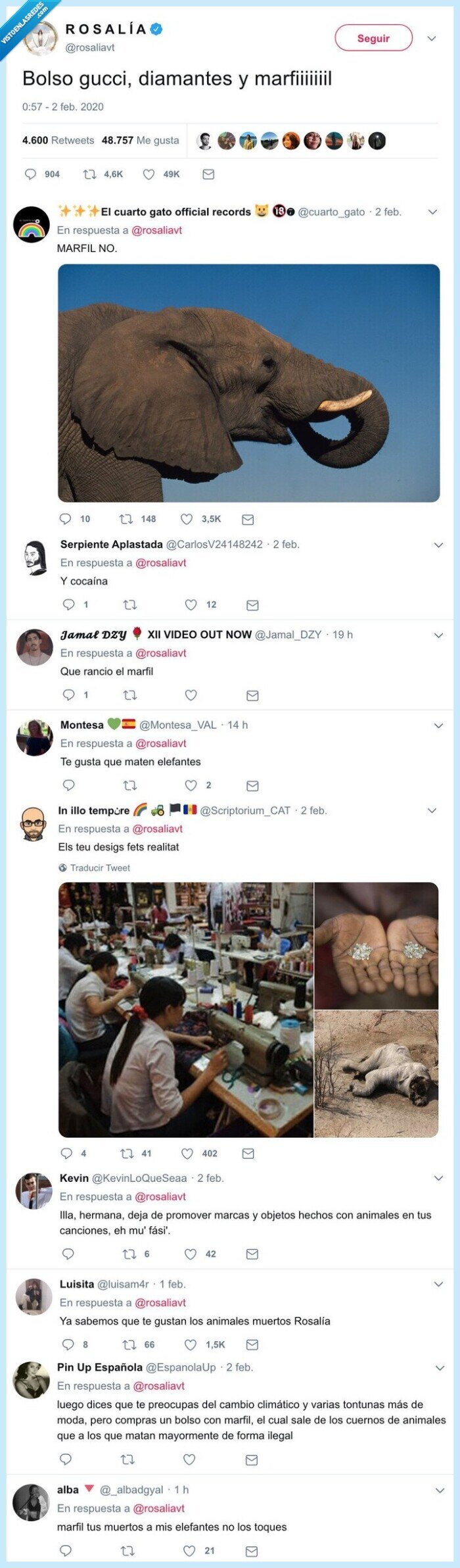 marfil,elefantes,rosalía,animales