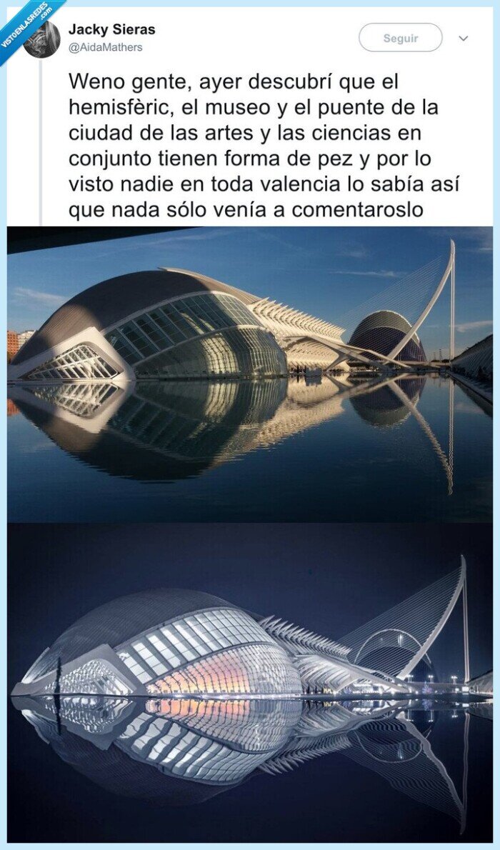 pez,valencia,ciudad de las artes