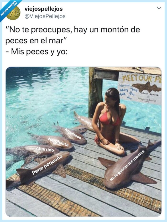 Peces,mar,chicos,real,situaciones,lol,humor,risa