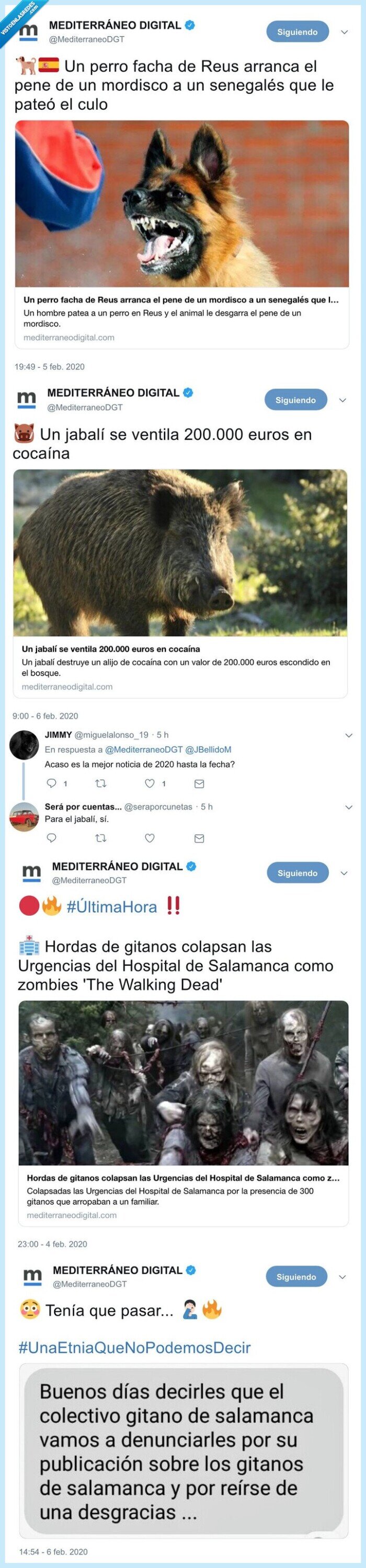 jabalí,perro facha,salamanca,denuncia,etnia