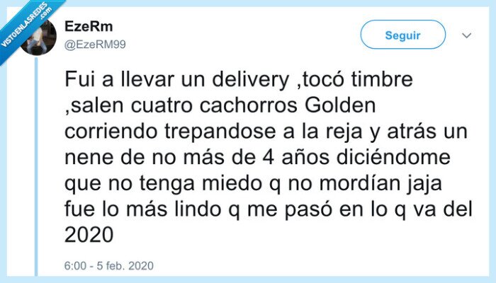 perros,golden,cachorros,delivery,morder,niño
