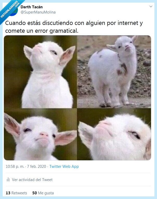 error,gramática,ortografía,discutir,internet