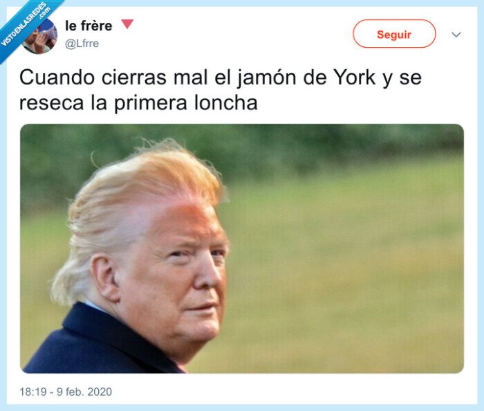 jamón de york,donald trump,loncha,seco