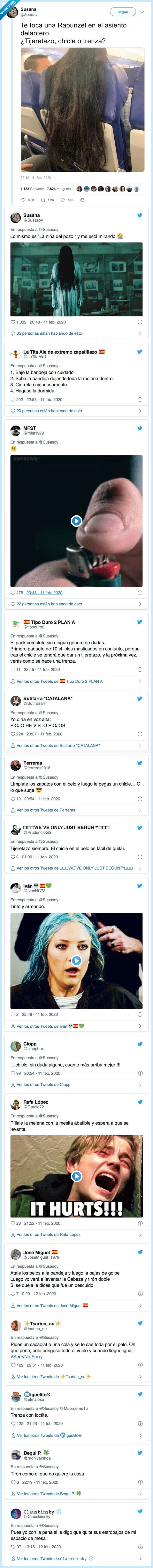 pelo,avión,asiento,melena,asco