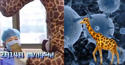 540400 - Acude al médico disfrazada de jirafa al no poder conseguir una mascarilla para protegerse del coronavirus