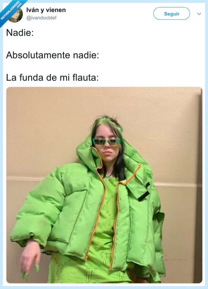 flauta,funda,billie eilish