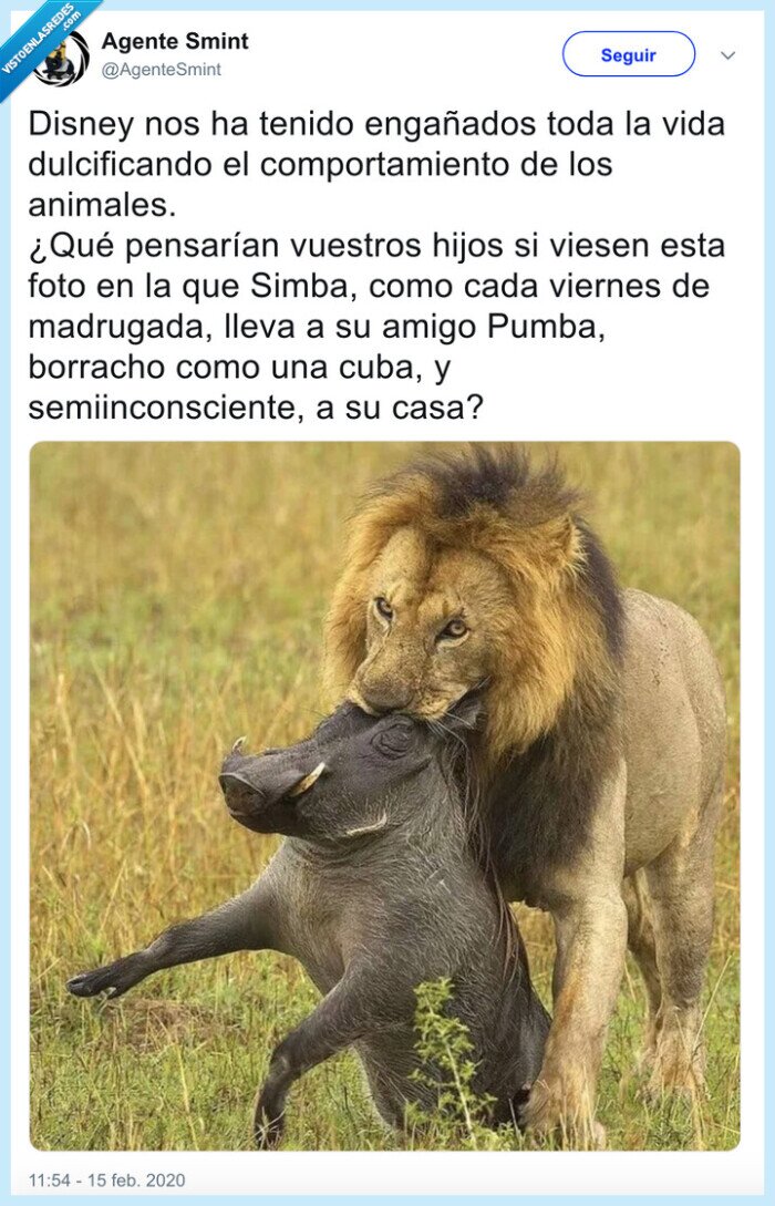 simba,pumba,amistad,borracho