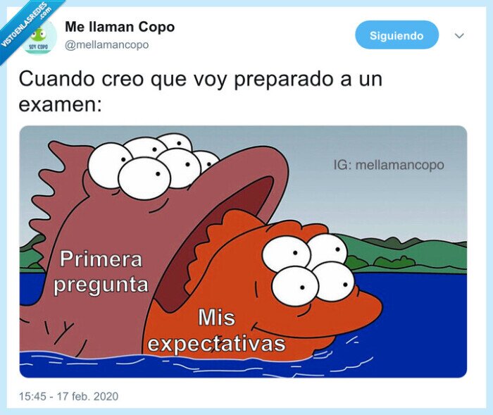 exámenes,expectativas,chao