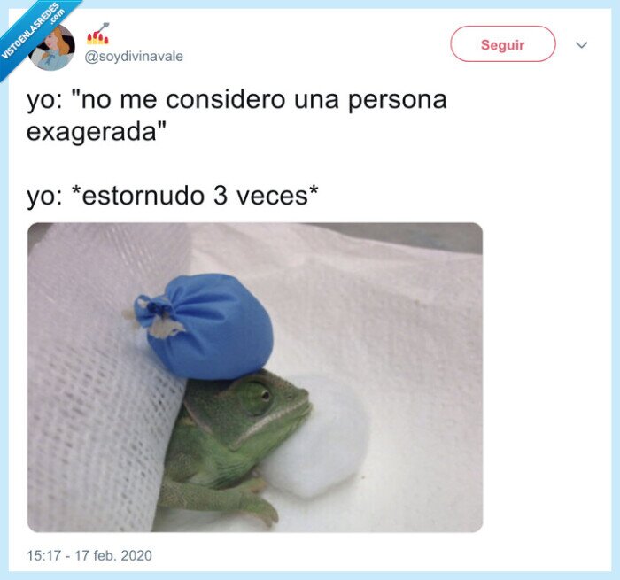 estornudar,resfriado,exagerar