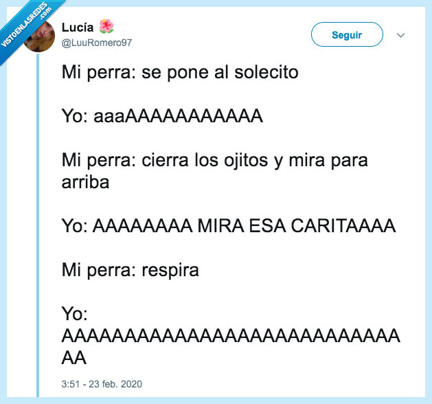 perra,mascota,alabanza