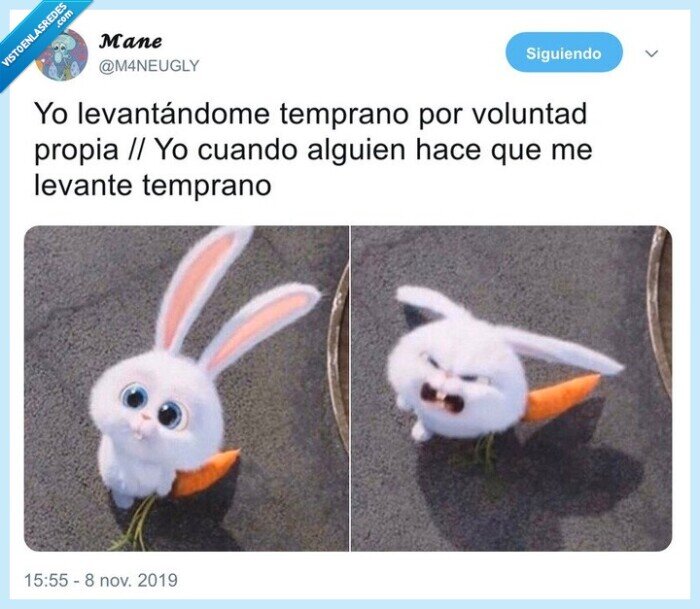 madrugar,a la fuerza,obligar