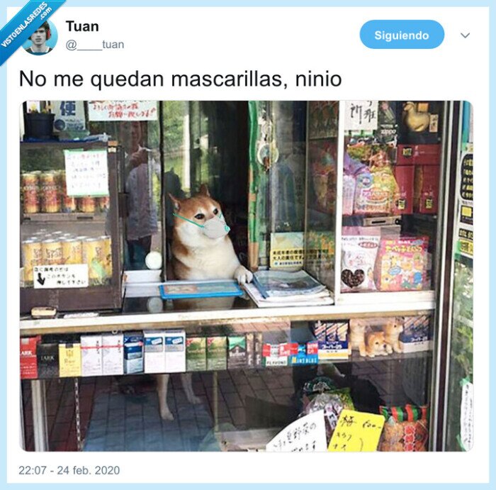 coronavirus,perro,mascarillas