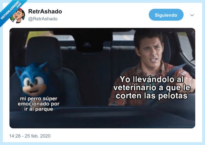sonic,perro,veterinario,castrar