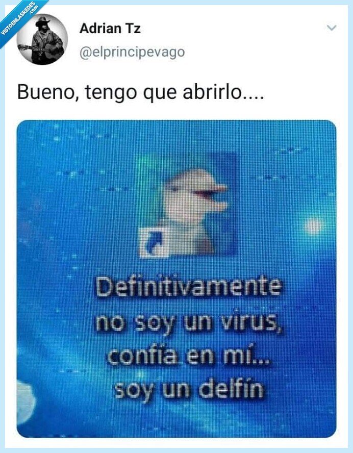 Virus,delfín,confiar,elprincipevago