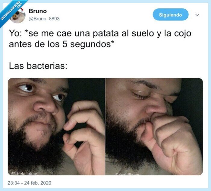 bacterias,comida,suelo