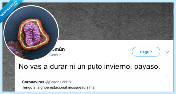 541390 - Hostias virales en Twitter, la gripe común se pelea con el coronavirus