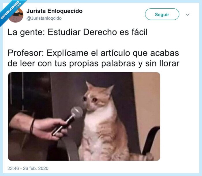 derecho,fácil,carrera,estudios