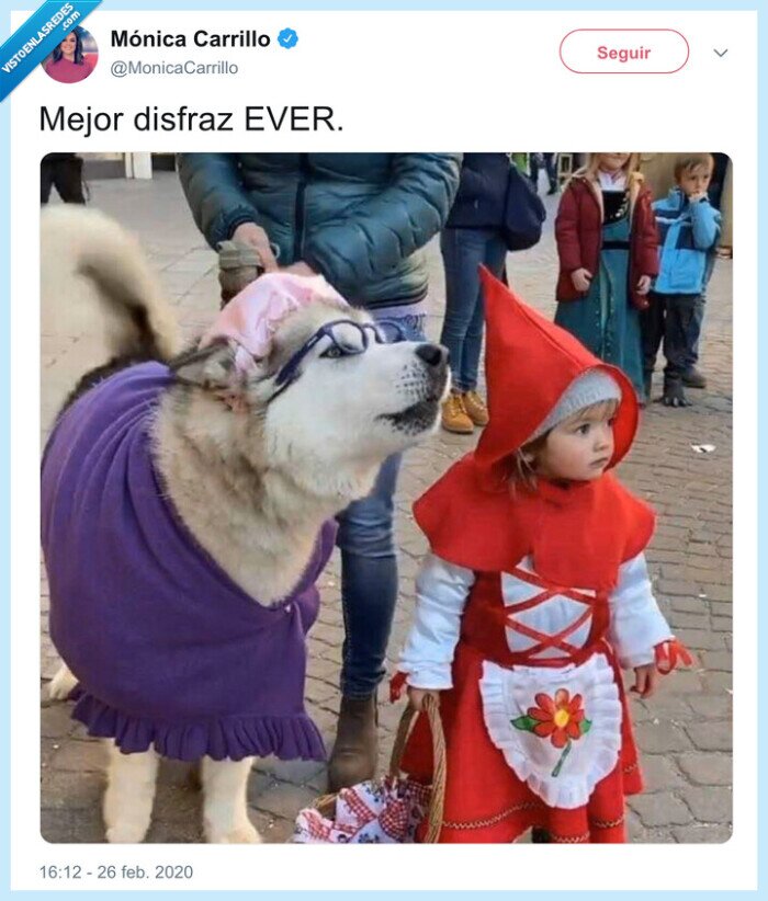 caperucita,lobo,niña,perro