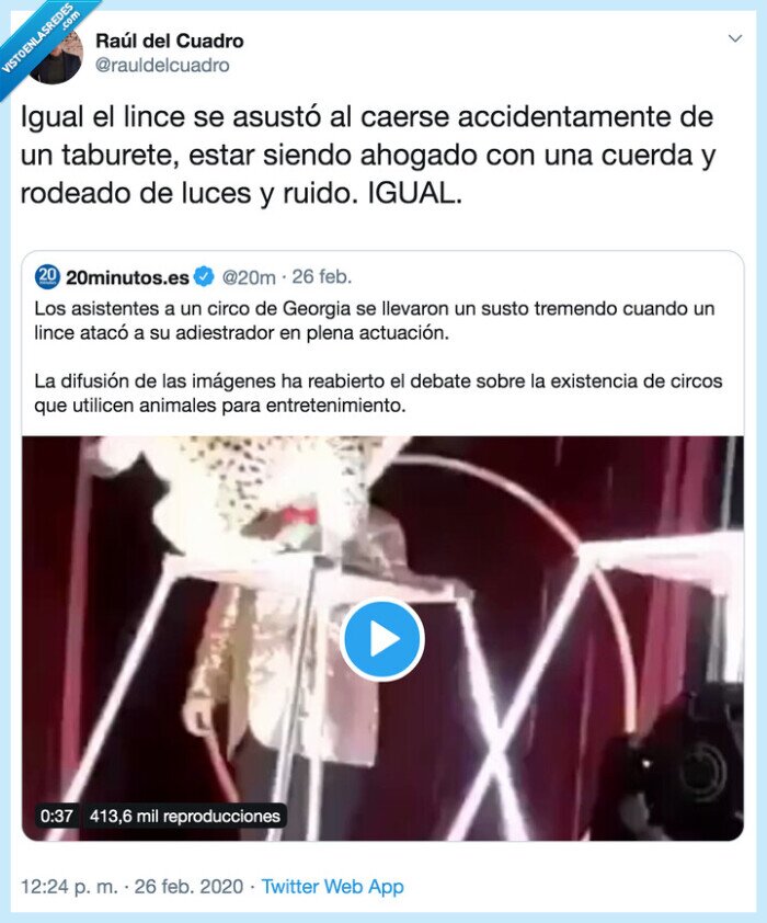 lince,circo,asustarse