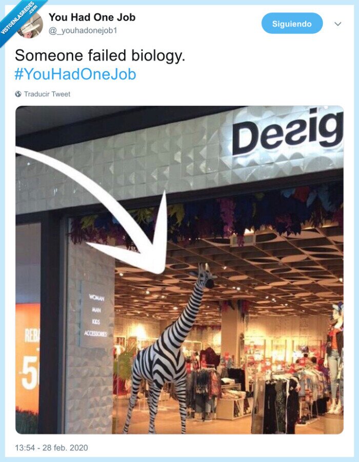 biología,desigual,jirafa,cebra